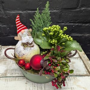 Festive Christmas Amaryllis Plant Bowl with greenery