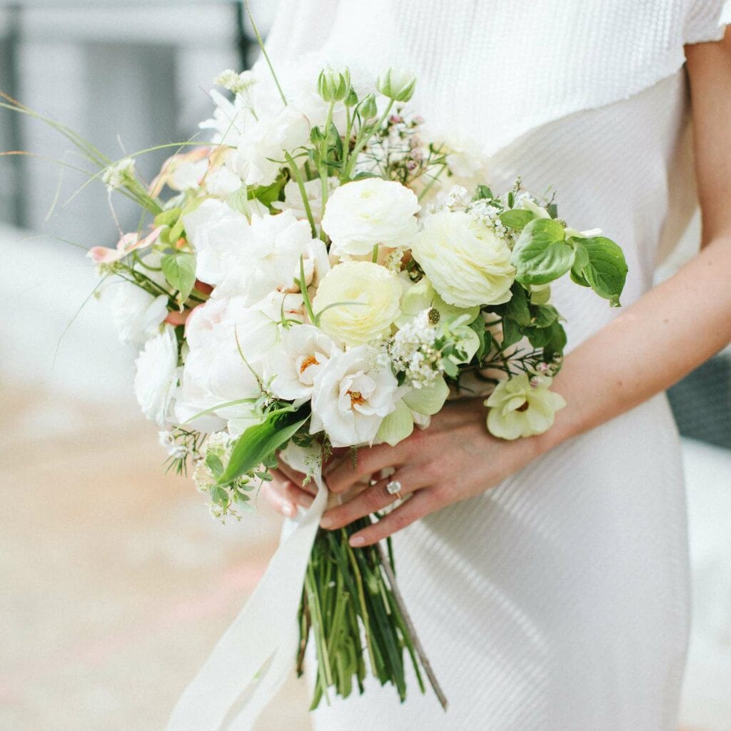 enchanting renunculus