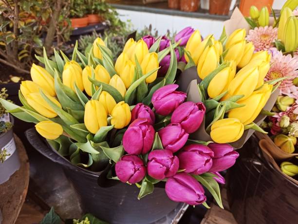 Tulips for Winter Weddings