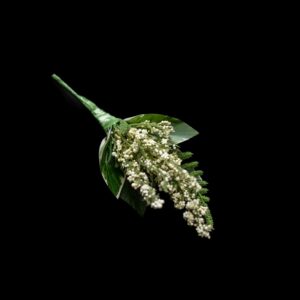 Heather Buttonhole Aberdeen