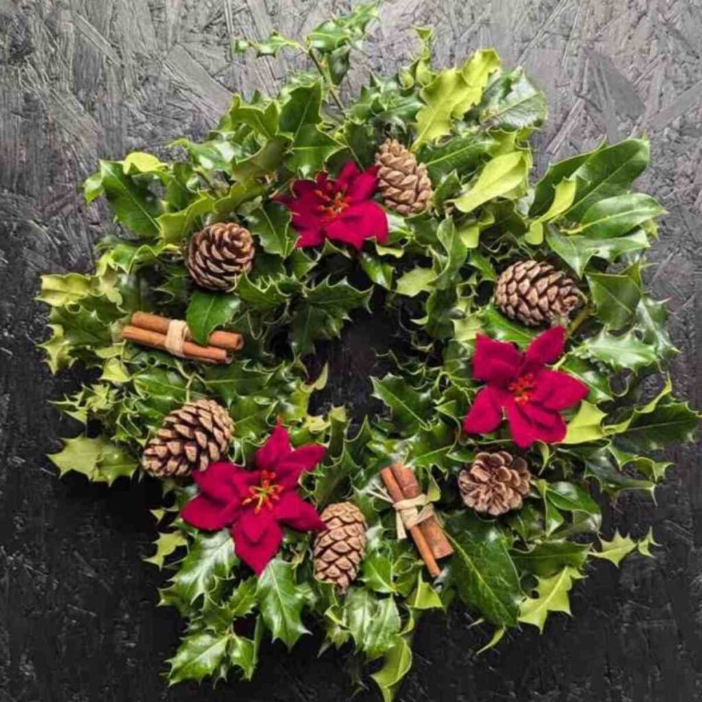 Traditional fresh Holly Christmas Wreath with pine cone and festive red ribbons