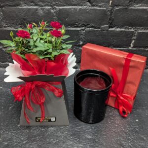 Real Rose | Planted Rose | Flower Gift Set