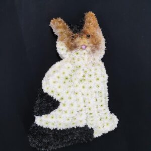 Aberdeen Funeral Florists