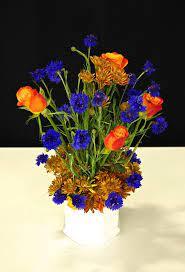 Split Complementary by West Australian Floral Art Society Inc