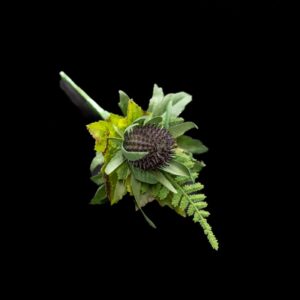 Thistle Buttonhole Aberdeen