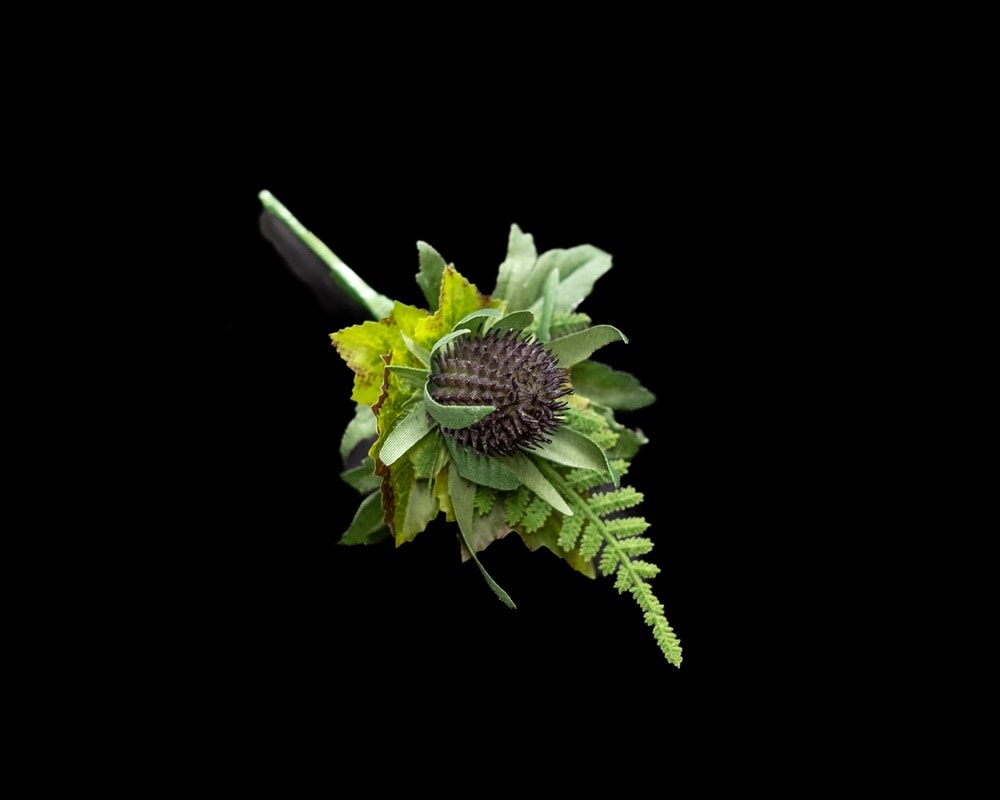 Thistle Buttonhole Thistle Buttonhole Aberdeen