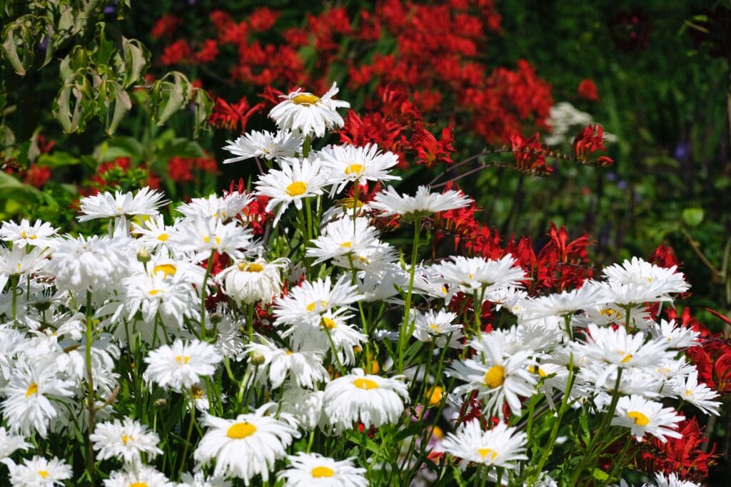 andy kennedy KwI bbW8OiM unsplash