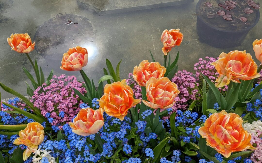 5 Best Autumn Flower For Bouquets