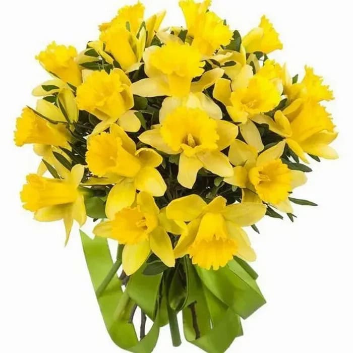 daffodil bouquets