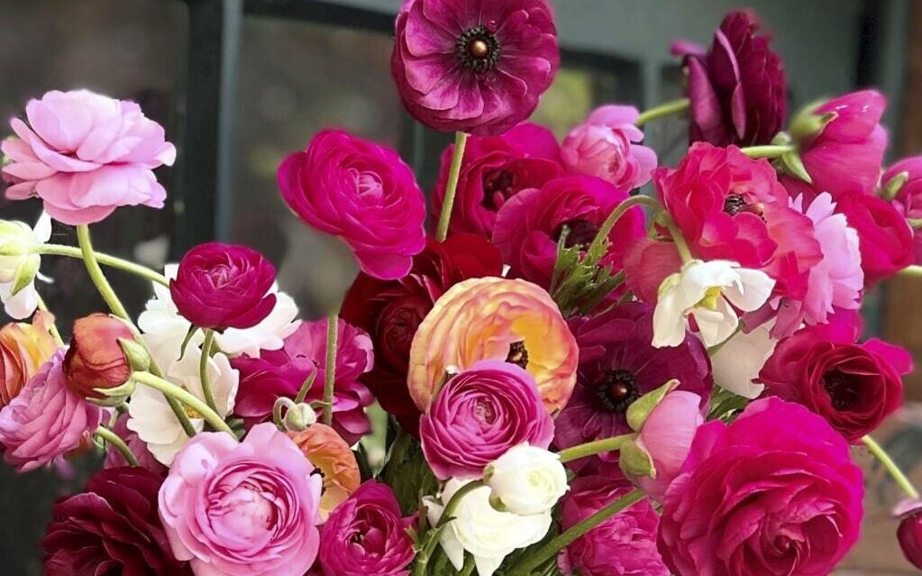 flower keep them cool