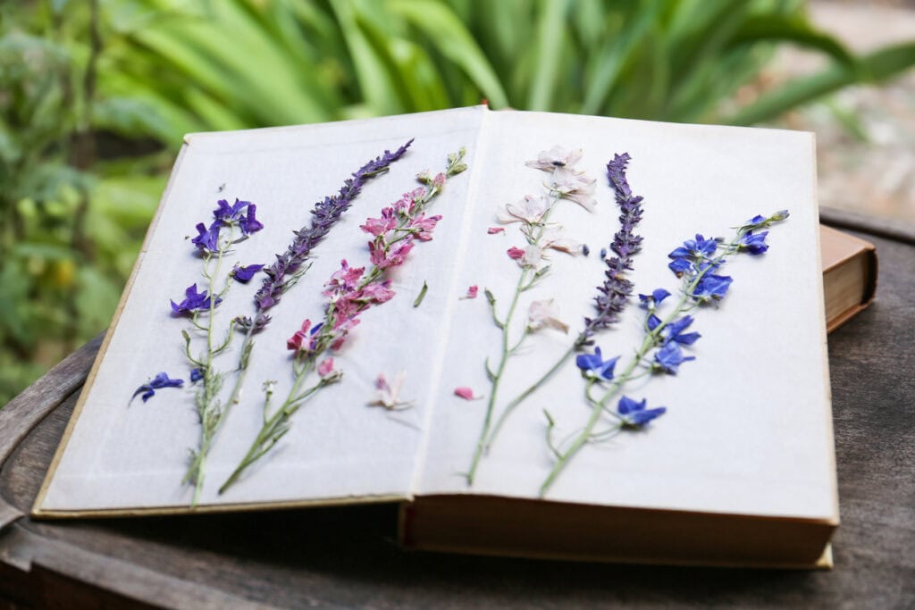 Pressing vibrant flowers between the pages of a book