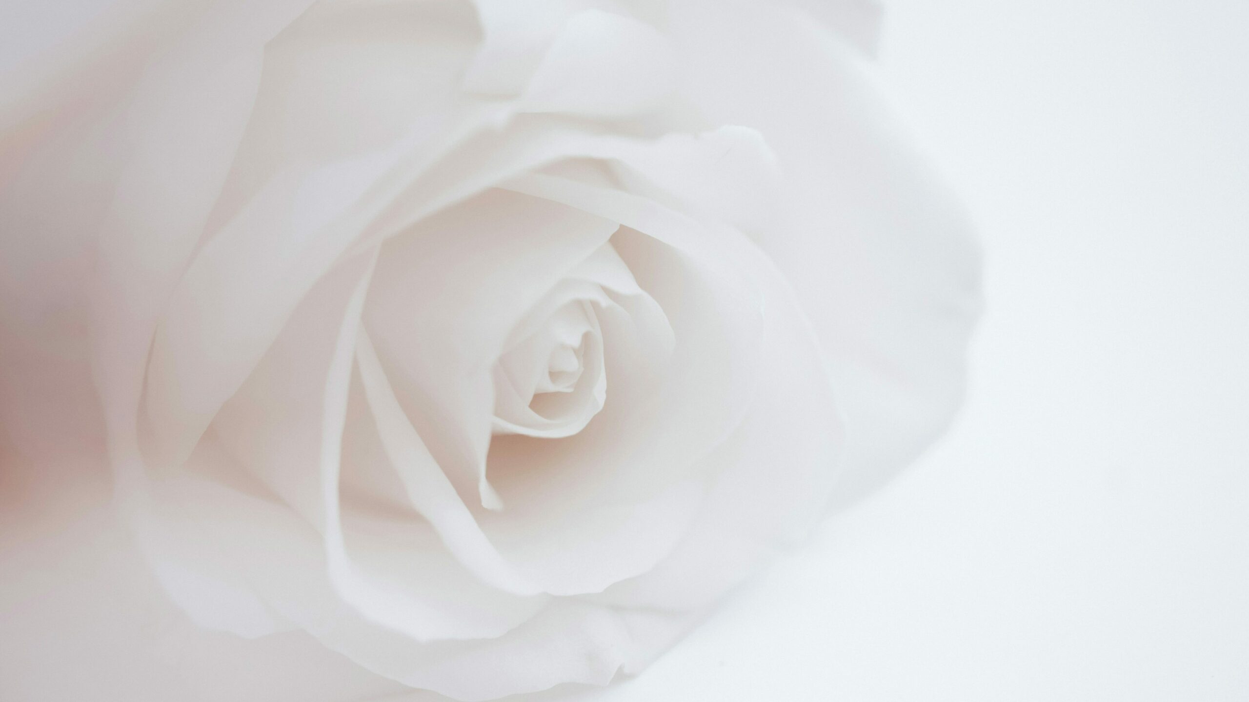 ray albrow TAFqMVuEb0 unsplash edited scaled