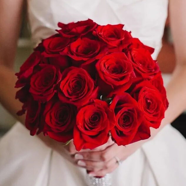 classic red roses